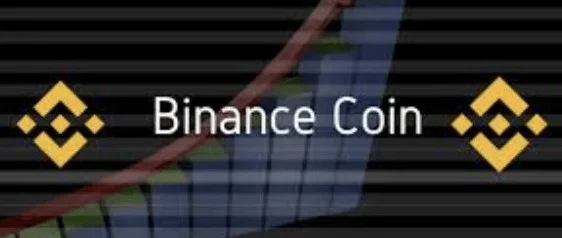BNB coin